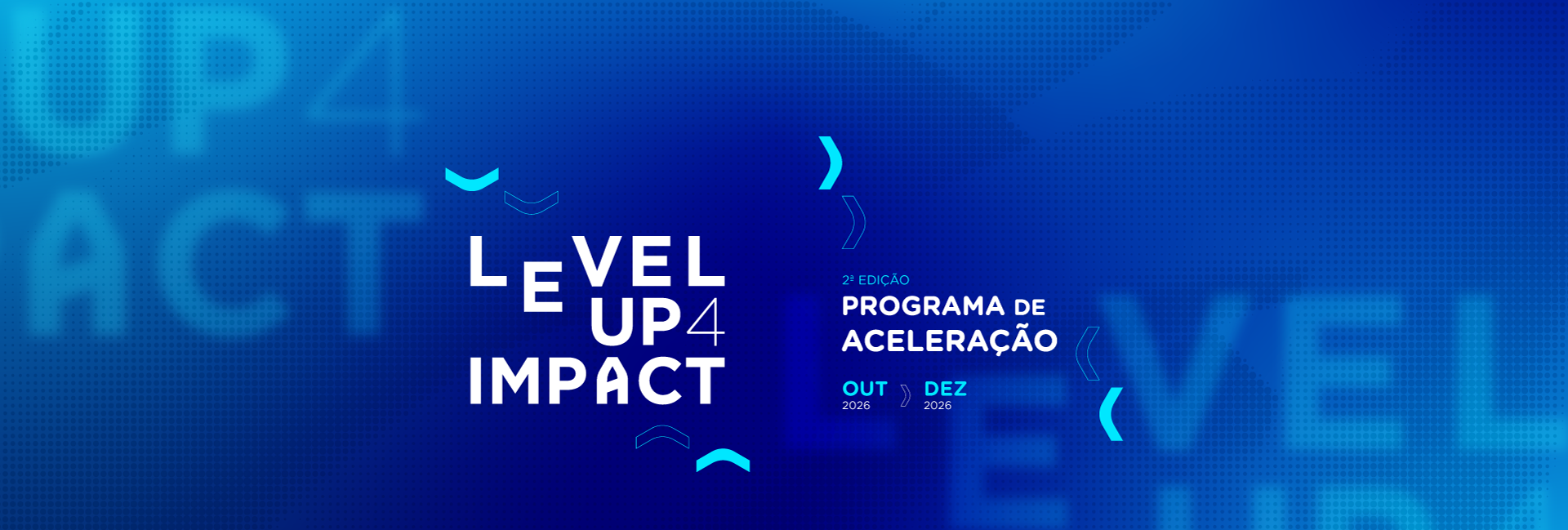LEVEL UP 4 IMPACT LU4I BANNER SITE LEVE
